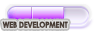 Expert Web Development